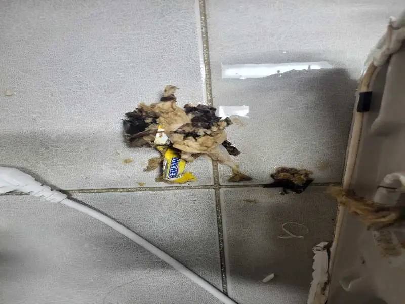 안양 배관 이물질 제거 사례 1